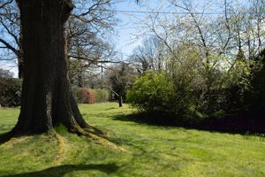 Photo 30- click for photo gallery